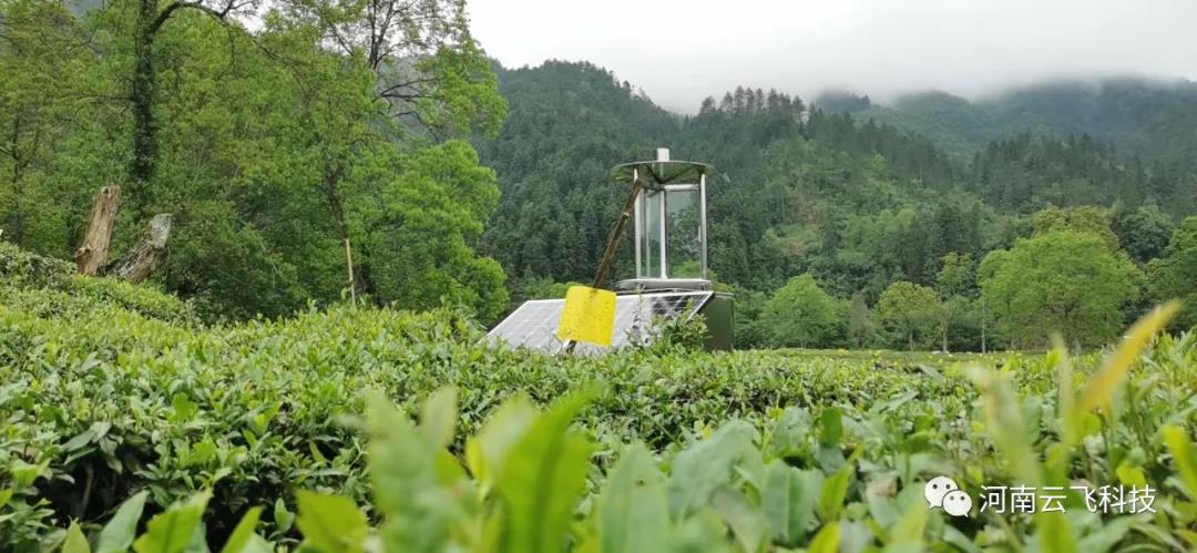 休寧縣利用云飛太陽能測(cè)報(bào)燈打造秀美皖南