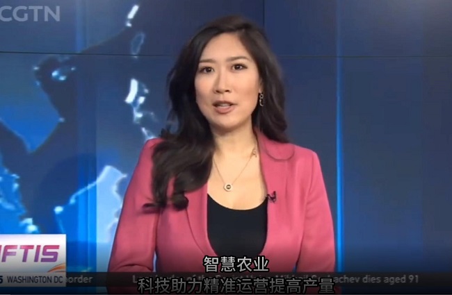 ЇHCGTN ҕЇ롷(ji)Ŀ^ꖸߘ˜r(nng)ʾ^(q)